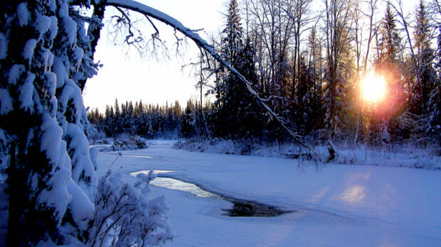 СК поставил точку в истории с обнаружением тел членов пропавшей семьи Усольцевых