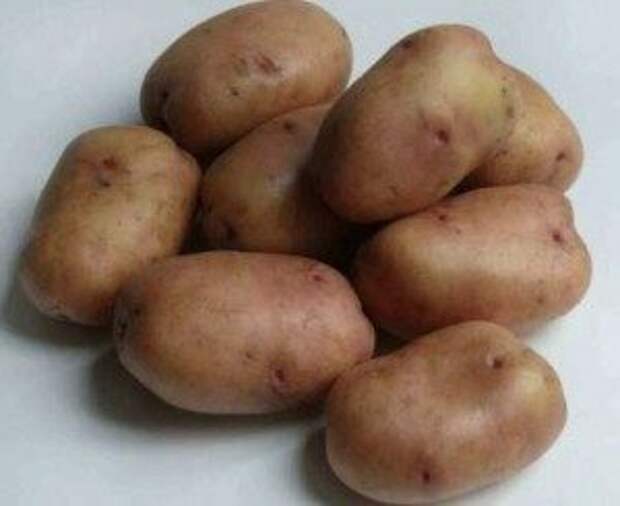 суперранние сорта картофеля для Подмосковья