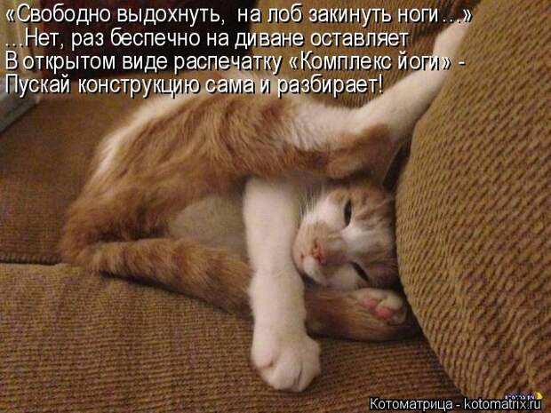 Котоматрица: «Свободно выдохнуть,  на лоб закинуть ноги…» …Нет, раз беспечно на диване оставляет В открытом виде распечатку «Комплекс йоги» - Пускай ко