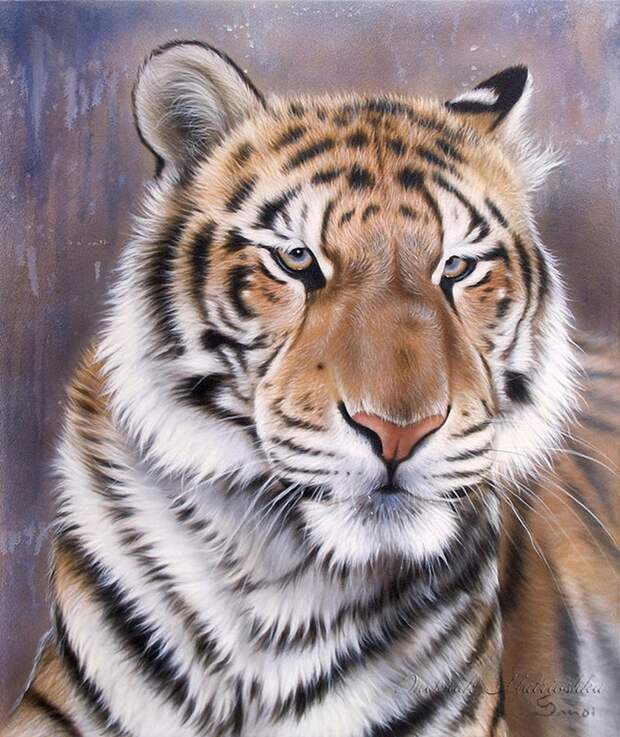 Awesome realistic drawings of animals 14