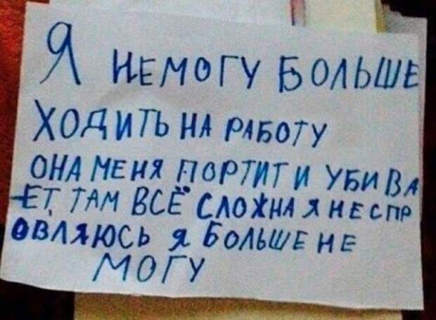 Смешные объявления, вывески и реклама (26 фото)