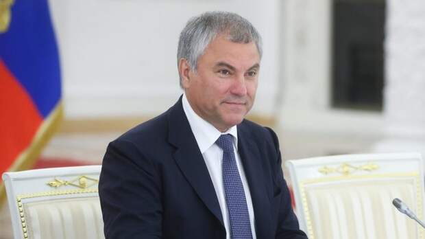 Володин назвал мониторинг ПАСЕ по правам полов в России «стыдобищей»