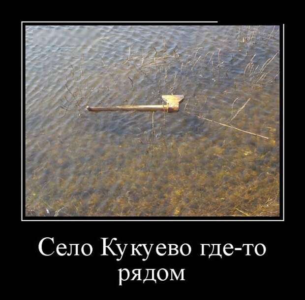 Демотиваторы (30 фото)