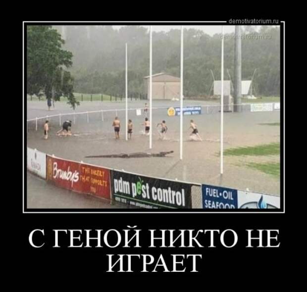 Демотиваторы-приколы