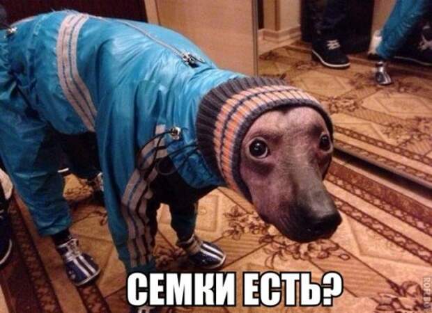 Пятничный пост прикольных картинок (42 шт)