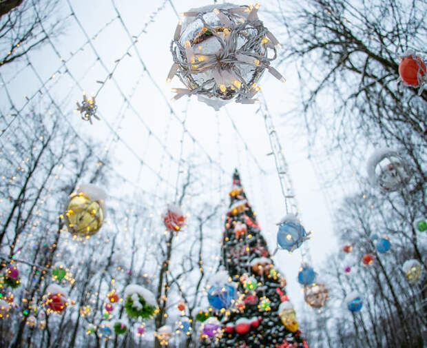 Смоленские синоптики рассказали, какой будет погода на Новый год