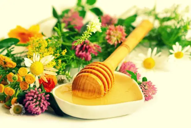 принципы лечения желудочно-кишечных болезней