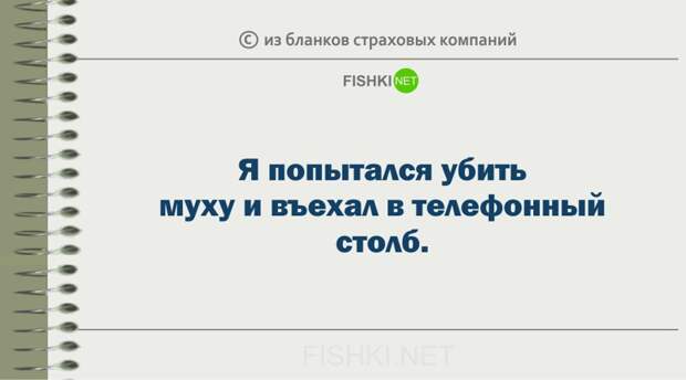 Забавные пояснения из бланков страховых компаний страховка, юмор
