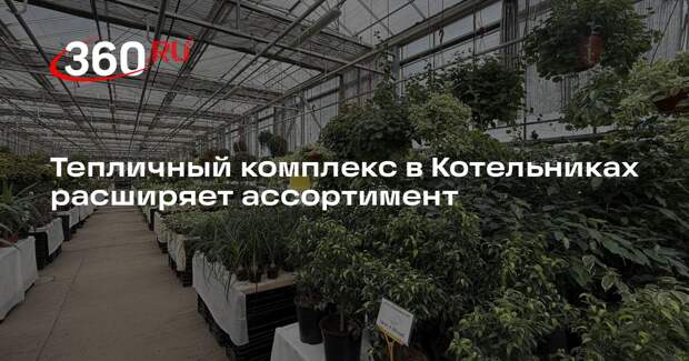 Тепличный комплекс в Котельниках расширяет ассортимент