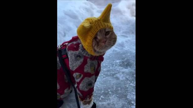 Коротко о погоде в Донецке https://t.me/webmoney_dn/312008Video: Клип