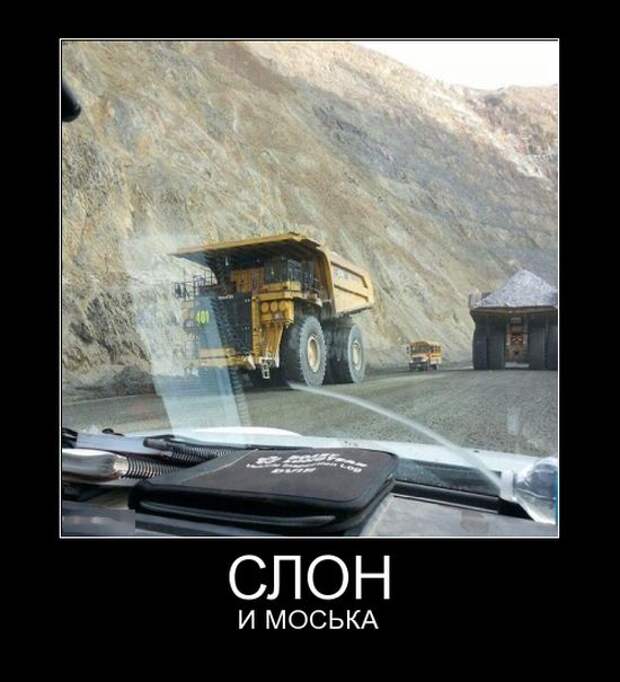 Демотиваторы (30 фото)
