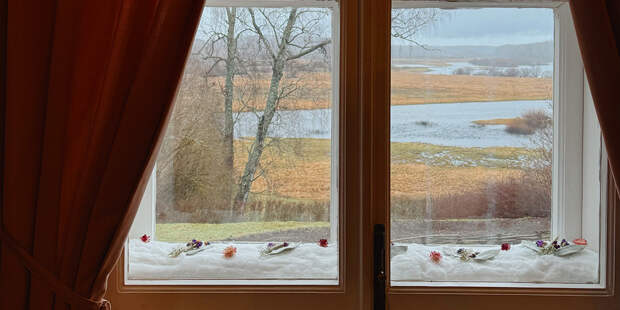 Стихи под градусом, мельницы и бани: зачем ехать в Пушкинские Горы