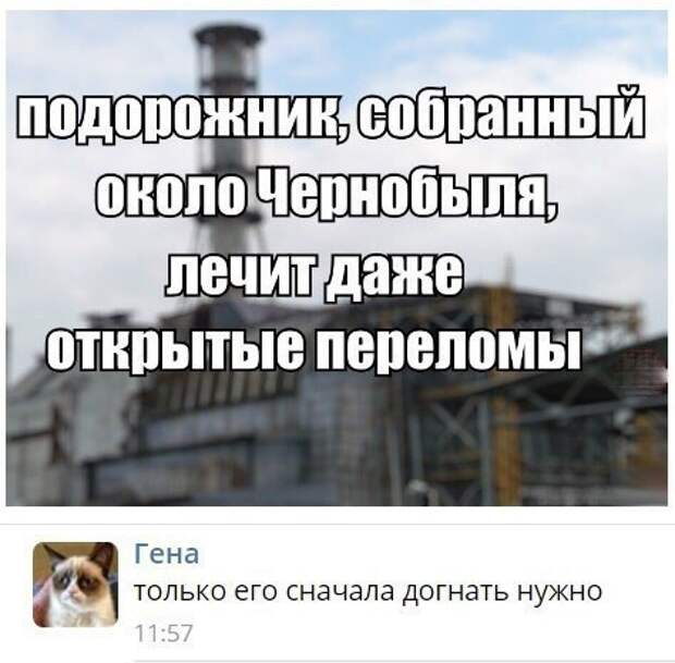Забавные картинки с надписями для веселья (12 фото) Забавные картинки с надписями для веселья (12 фото)
