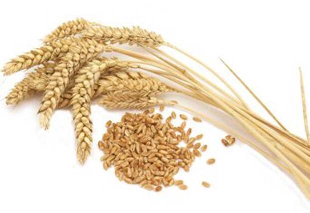 Для похудения - пшеница