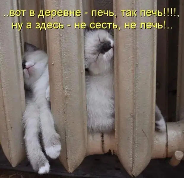 Я вот думаю... Загранпаспорт оформлять или подождать, когда Россия везде будет? Я вот думаю... Загранпаспорт оформлять или подождать, когда Россия везде будет? надписью, «JoJo», России, говорит, когда, Холмс, хочет, пеpепутал, страшно, Проблема, видео, котором, внутрь, влезаю, джипа, через, лючок, бензобака, секунды, Круто