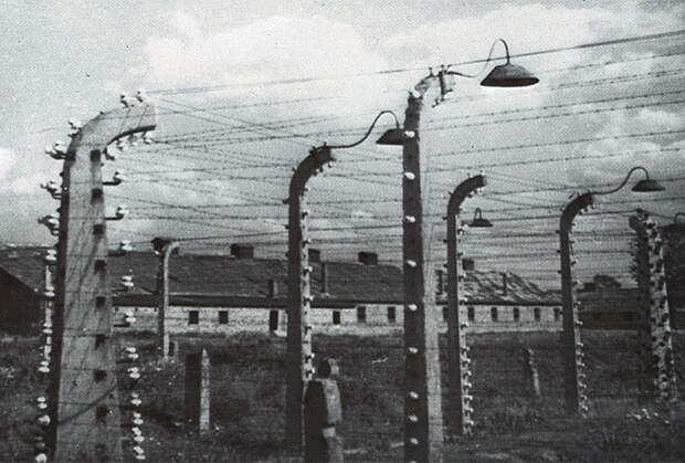Военнопленные на открытых железнодорожных платформах. 1941 год