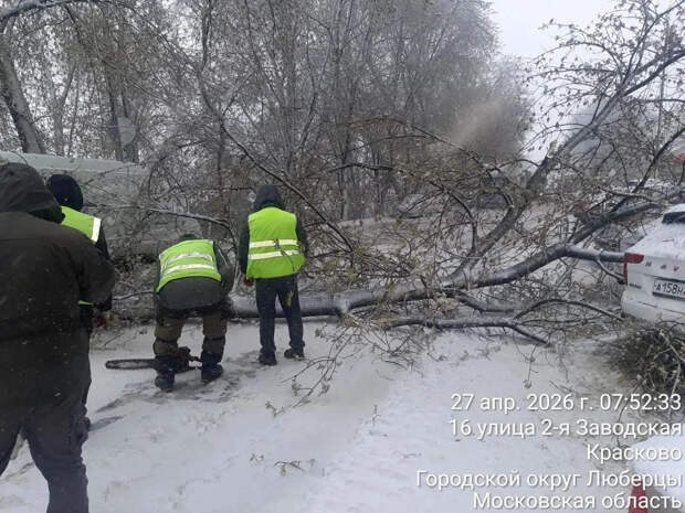 Сильнейший за всю историю снегопад 27 апреля в Подмосковье повалил 1200 деревьев