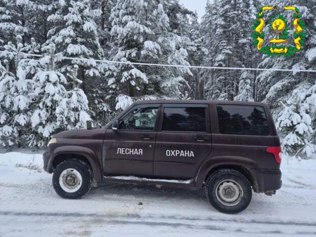 В Выксунском округе поймали похитителя новогодней елки