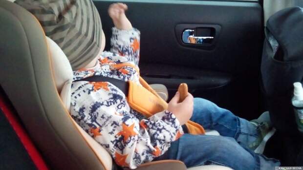 Стало известно о состоянии ребенка, на которого напала собака в Подмосковье