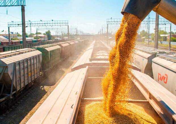 Аграрии готовы кормить РЖД продуктами вместо угля. Российский АПК бьёт рекорды торговли с Китаем и может загрузить железные дороги миллионами тонн за миллиарды долларов