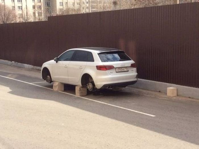 Прикольные картинки Прикольные картинки