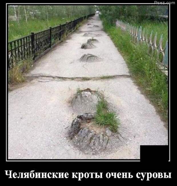 Это суровый Челябинск, детка! Однозначно, Лайк!