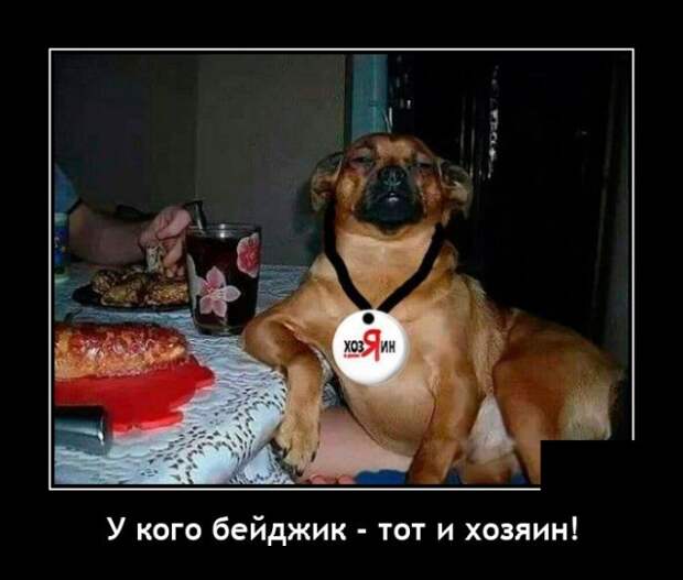 Демотиваторы 31 января 2022 года