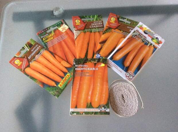 Сорта семян моркови на фото