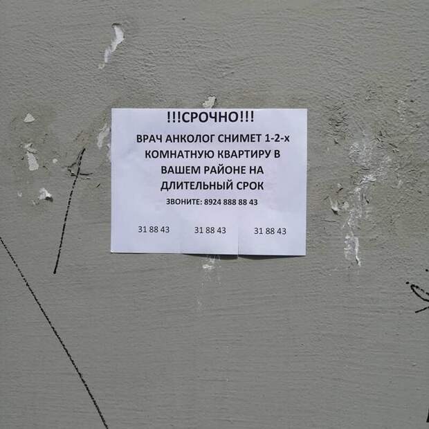 16 убойных объявлений, которые мог написать только человек с нашим менталитетом