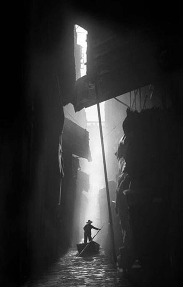 fan ho 36