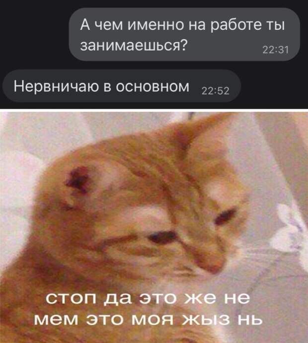 Смешные картинки 10 сентября 2021 года