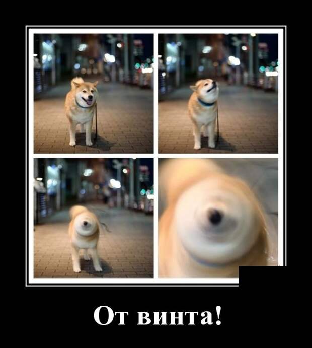 www.vsyako.net