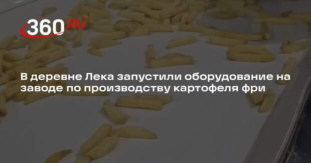 В деревне Лека запустили оборудование на заводе по производству картофеля фри