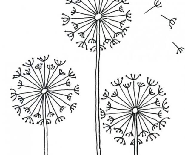 Как научиться рисовать? 5 бесплатных уроков для начинающих