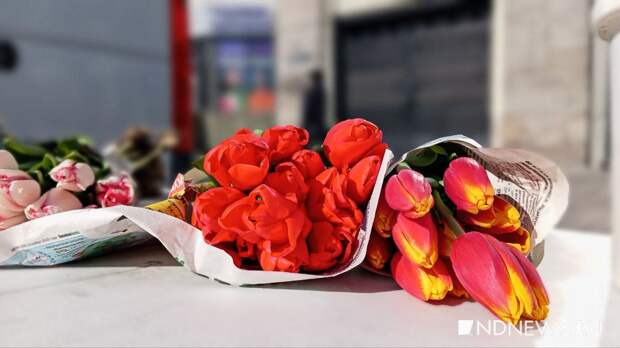 Гулять – так гулять! 16% южноуральцев продлят отдых на 8 Марта за счет отгулов и отпусков