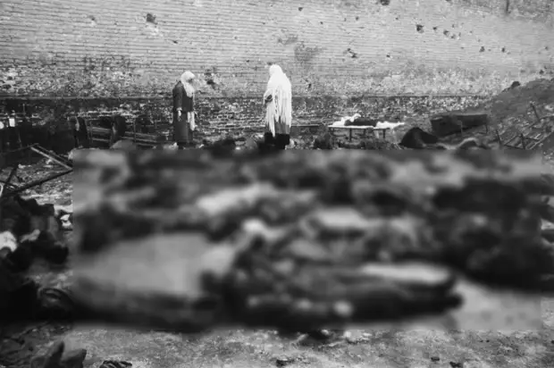 «Рушились амбициозные планы гитлеровцев»: какую роль в разгроме нацистов сыграла Битва за Кавказ