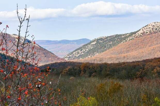 В Крыму  насчитывается 210 особо охраняемых природных территорий