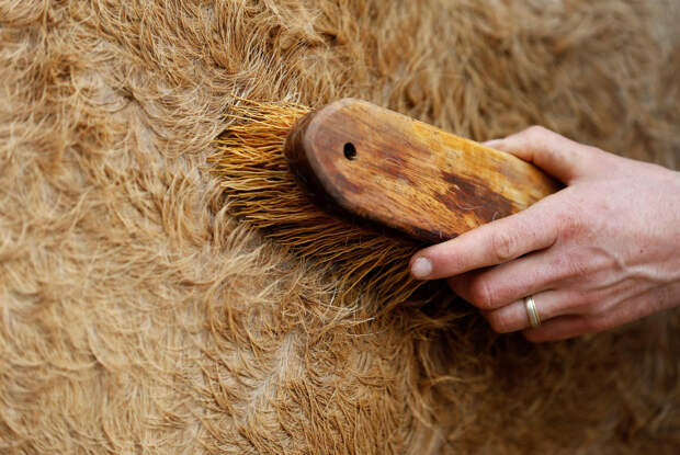 FRANCE-AGRICULTURE/