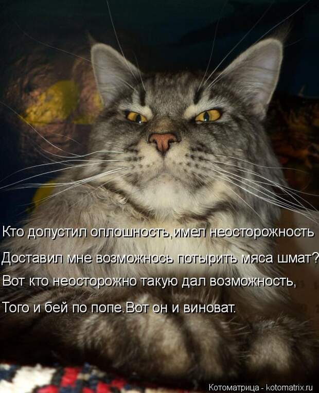 Котоматрица: Кто допустил оплошность,имел неосторожность Доставил мне возможнось потырить мяса шмат? Вот кто неосторожно такую дал возможность, Того и 