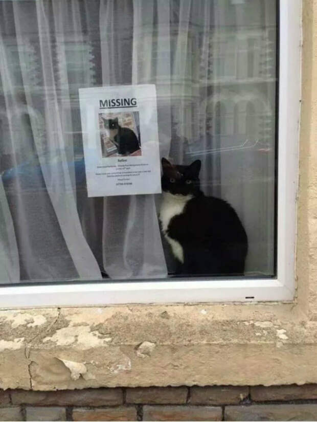 Пропажа. Пропажа.