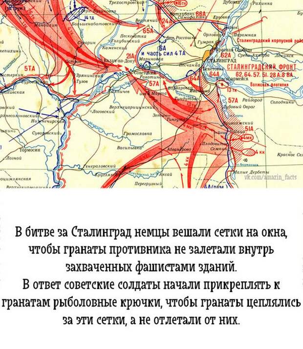 интересные факты