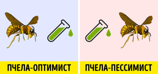 14 фактов, которые доказывают, что у нас с животными больше общего, чем кажется
