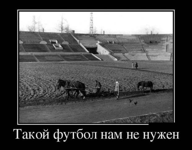 Демотивируемся! Демотивируемся!