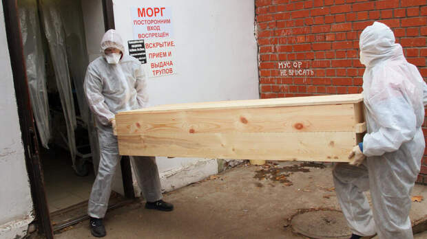 Патологоанатома из Петербурга задержали за продажу тел на органы