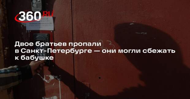 Двое братьев пропали в Санкт-Петербурге — они могли сбежать к бабушке