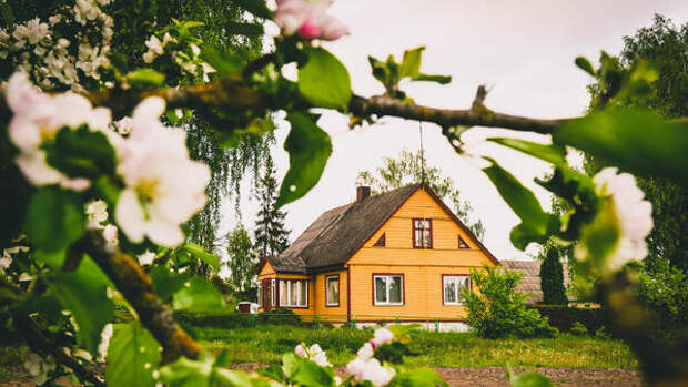 Соседи обзавидуются: 10 товаров, которые сделают ваш отдых на даче комфортнее