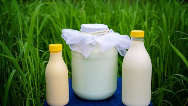 Биолог рассказала о влиянии молока на умственные способности