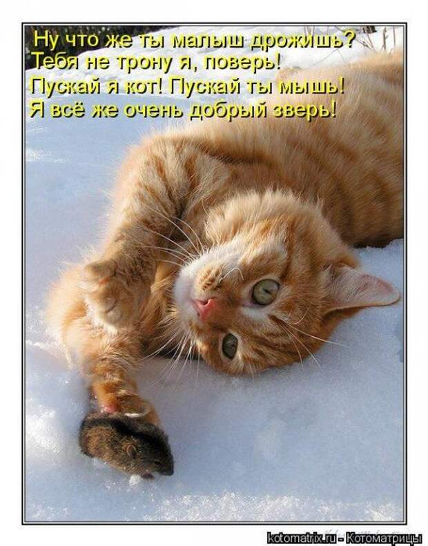 Мысли вслух :)
