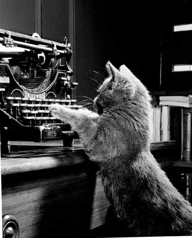 ������ ������� � �������, ������� 70 ��� �������������� �����   34