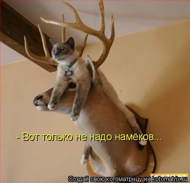 Мысли в слух :)